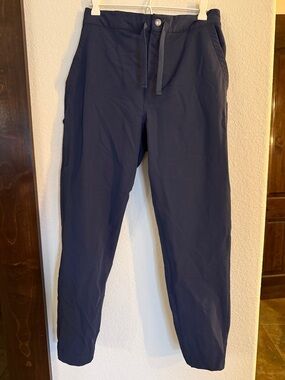 Patagonia Men's Navy Drawstring Joggers